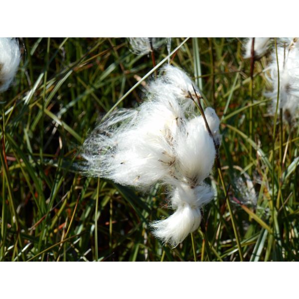 Des histoires ou des cas cliniques? 