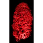 Introspection  Transformation de l'angoisse